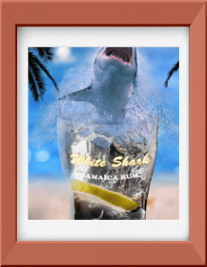 White Shark Jamaica Rum Composition